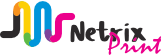 Netrix Logo